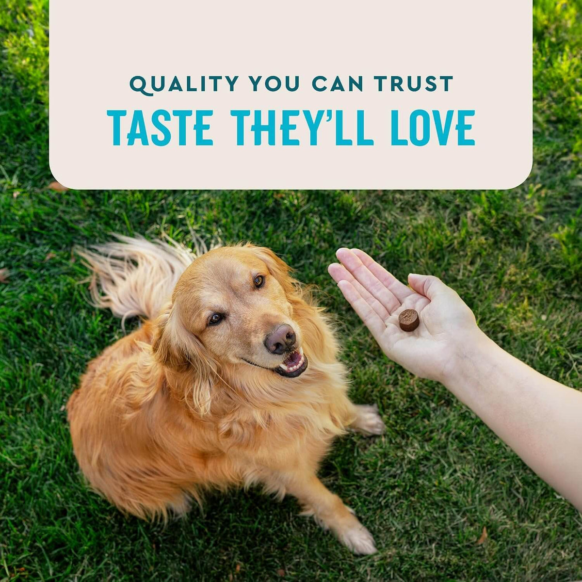 Glucosamine Hip & Joint Chews For Dogs – Glucosamine, MSM & Krill Oil Support, Chicken Flavor