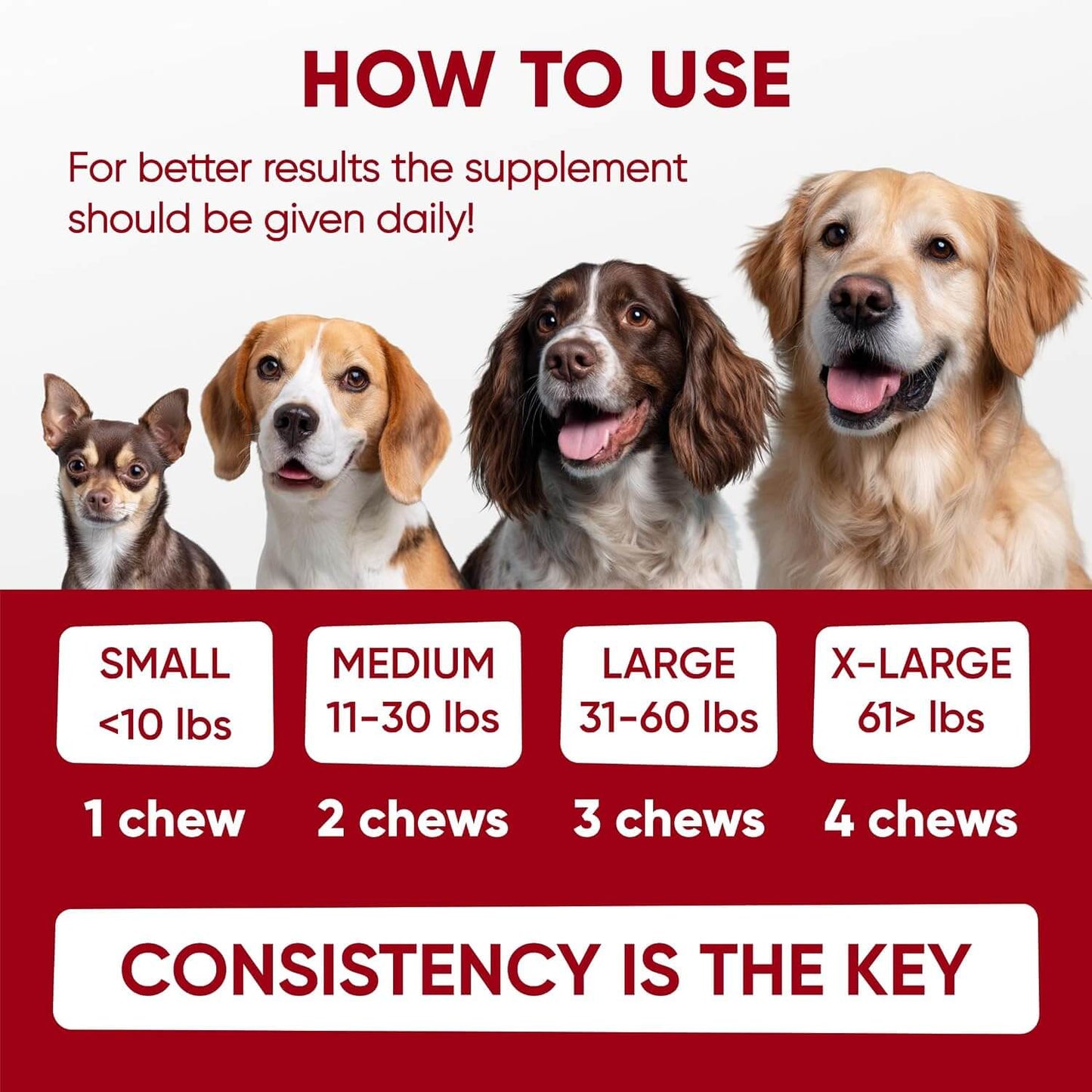 Probiotic Chews For Dogs – Digestive & Gut Health Support With Enzymes