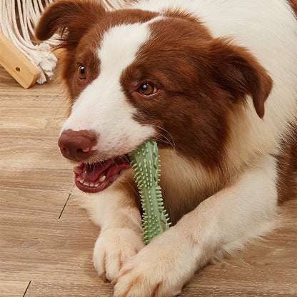 Petlary Dog Chew Toy for Teeth Cleaning