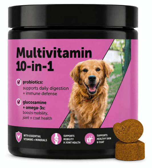 10-in-1 Dog Multivitamin Chews – Glucosamine, Probiotics & Omega-3, Joint, Digestive & Immune Support, Chicken Flavor
