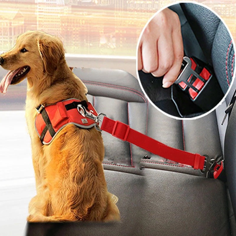 Petlary Adjustable Pet Car Harness for Dogs Cats
