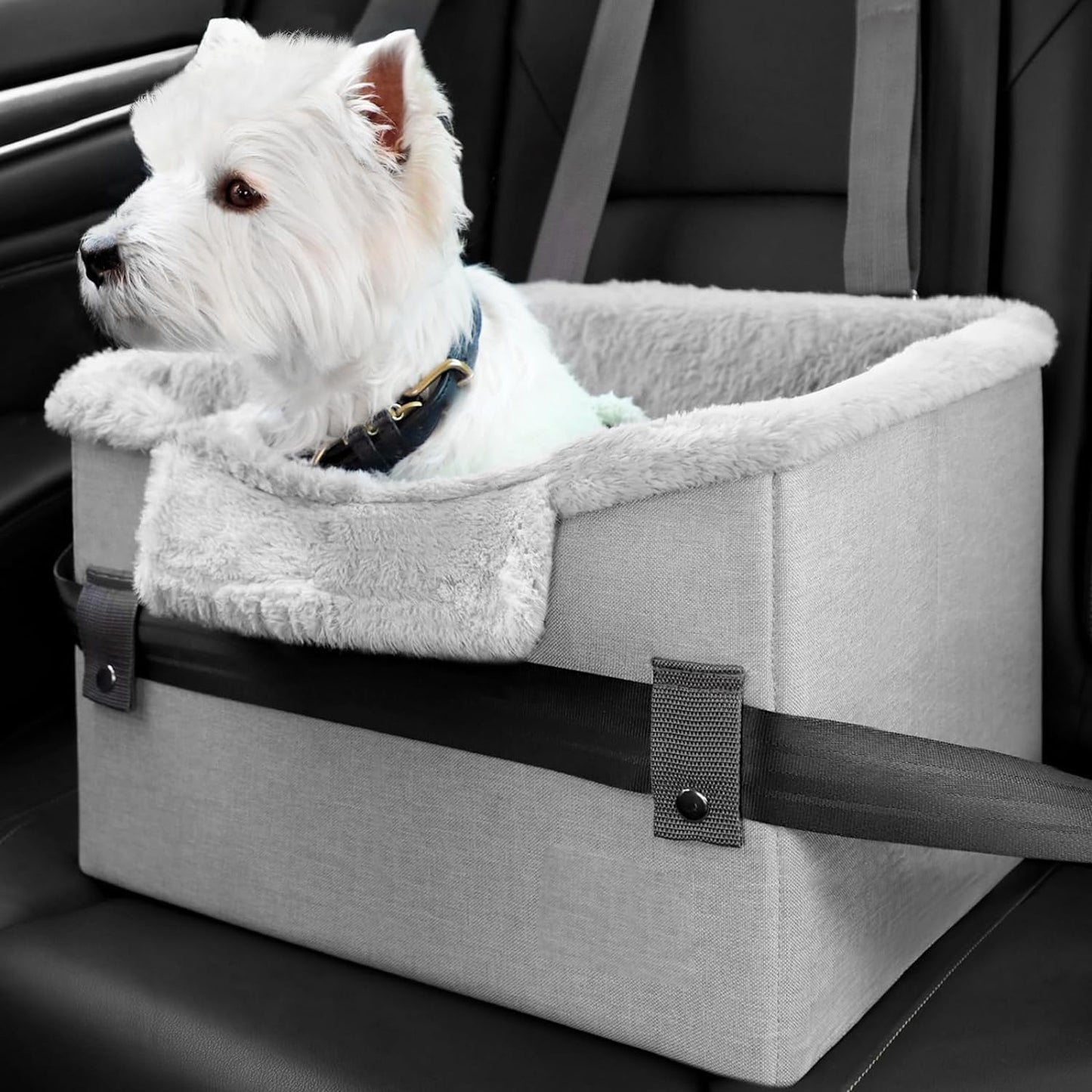 Portable Dog Car Booster Seat For Small Dogs