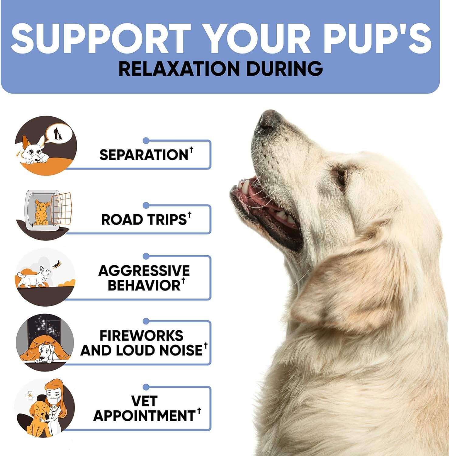Advanced Calming Chews For Dogs – Relaxation & Wellness Support With Hemp Oil & Melatonin