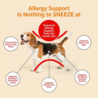 Allergy Relief Probiotic Chews For Dogs – Skin & Ear Support, Salmon Flavor