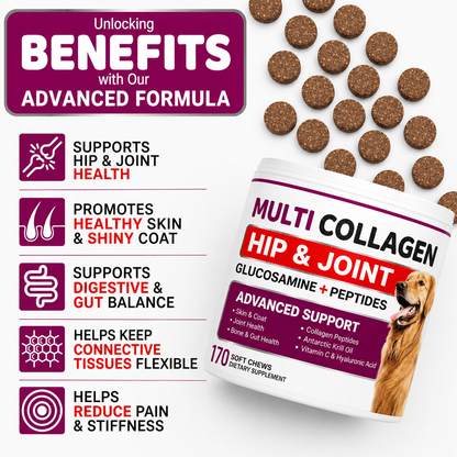 Collagen Chews For Dogs – Hip, Joint & Skin Support With Multi-Collagen Peptides, 170 Count