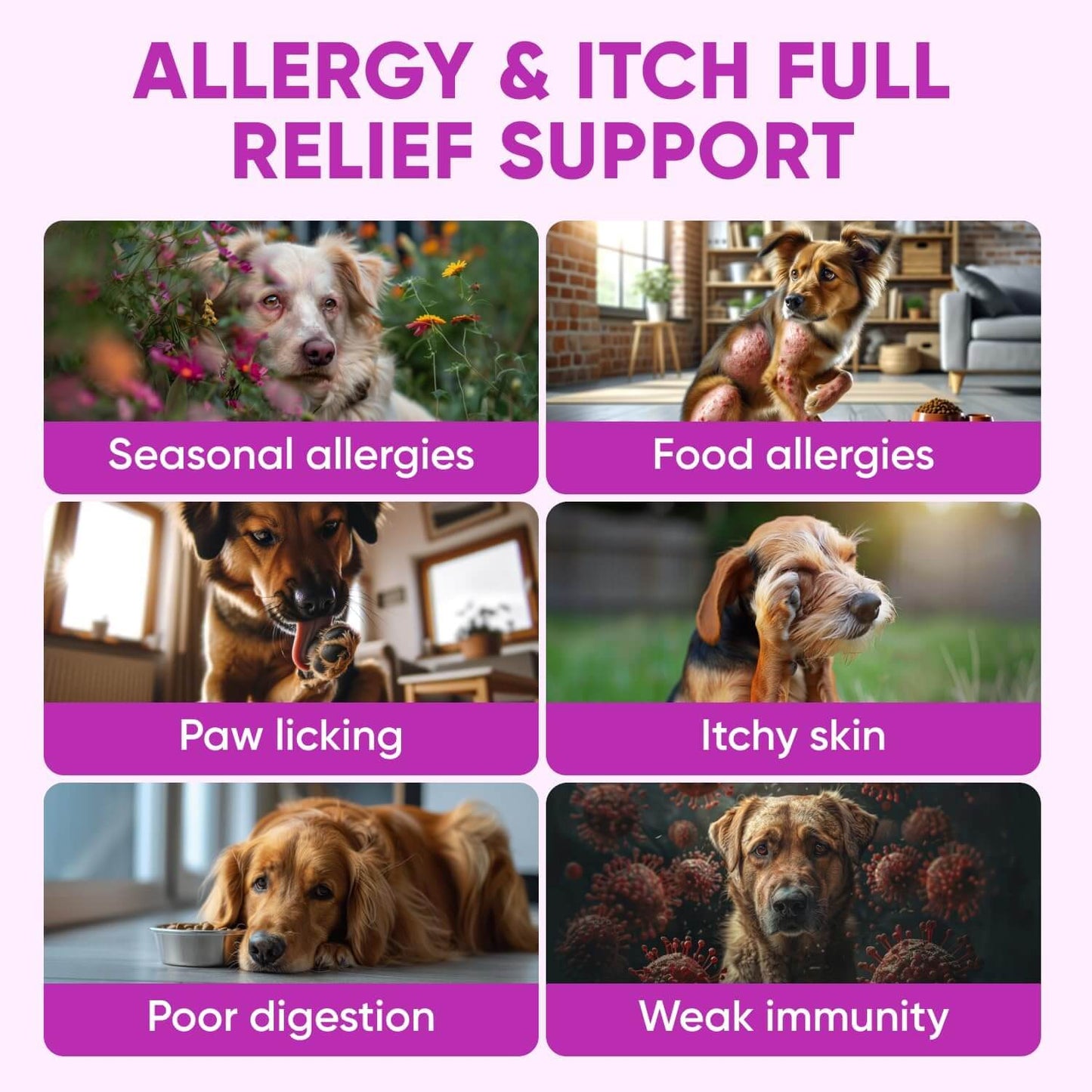 Dog Allergy Relief Chews – Skin & Coat Support Soft Chews With Omega-3 Fish Oil