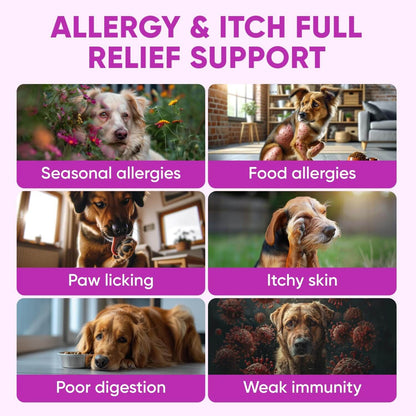 Dog Allergy Relief Chews – Skin & Coat Support Soft Chews With Omega-3 Fish Oil
