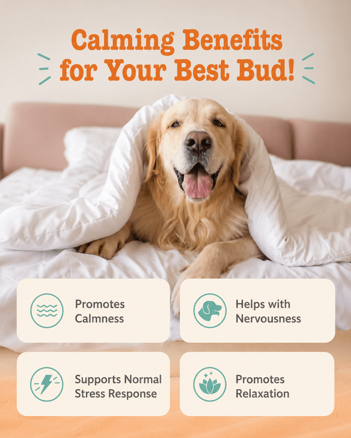 Dog Calming Soft Chews - Melatonin, L-Theanine & Ashwagandha Supplement