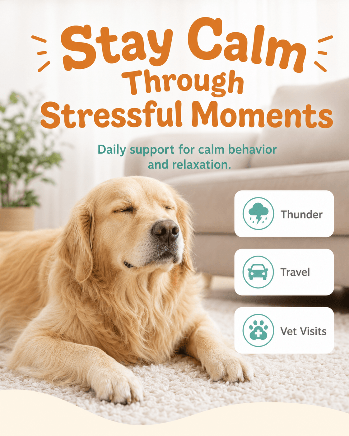 Dog Calming Soft Chews - Melatonin, L-Theanine & Ashwagandha Supplement
