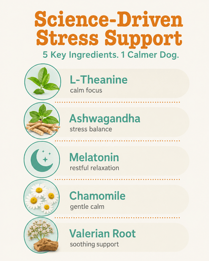 Dog Calming Soft Chews - Melatonin, L-Theanine & Ashwagandha Supplement