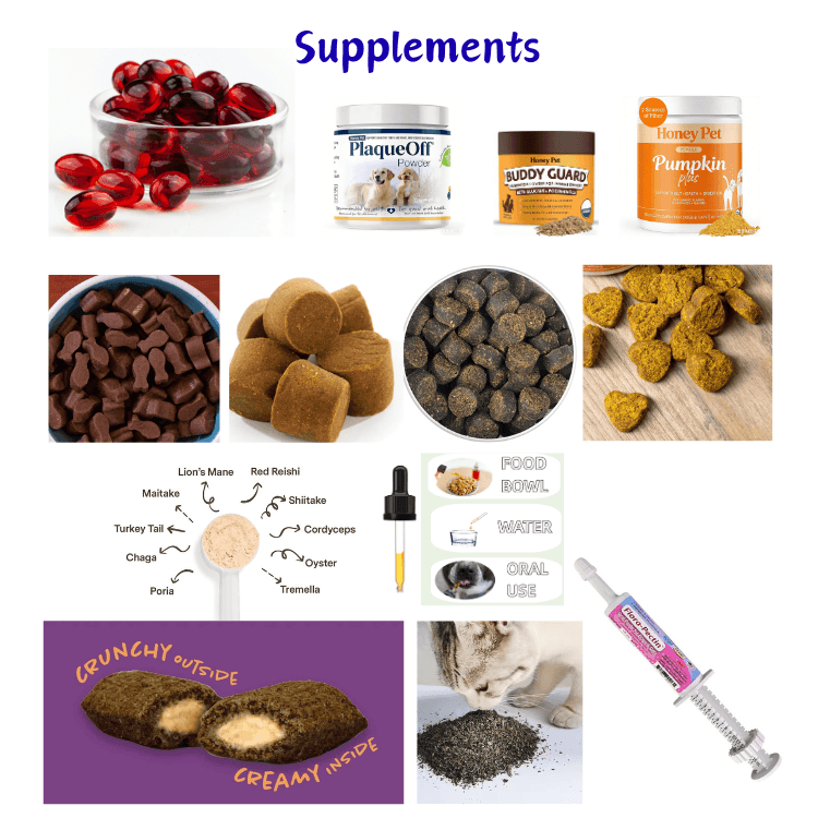 Dog Flea & Tick Soft Chews – Skin, Coat & Pest Defense Support