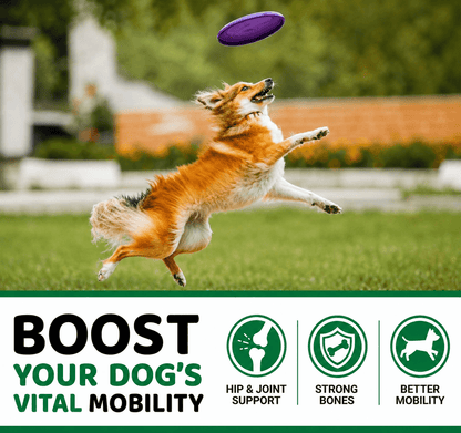 Glucosamine Chews For Dogs – Hip & Joint Support With Glucosamine, Chondroitin & MSM, 240 Count