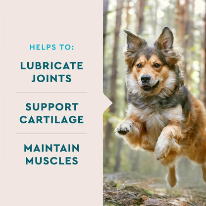 Glucosamine Hip & Joint Chews For Dogs – Glucosamine, MSM & Krill Oil Support, Chicken Flavor