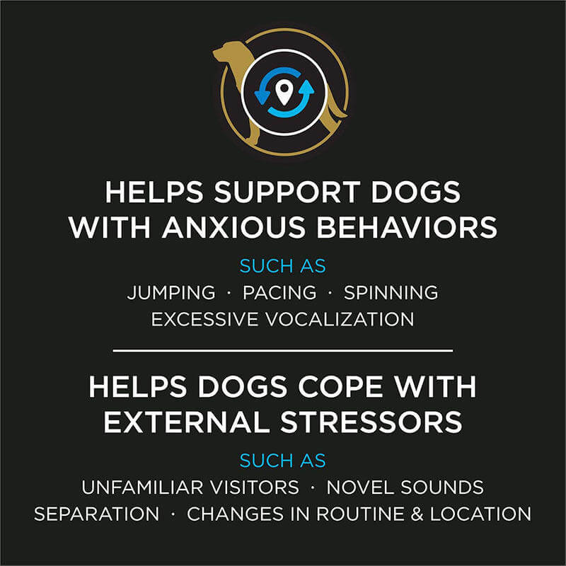 Calming Probiotic Dog Powder – Digestive Health & Relaxation Support