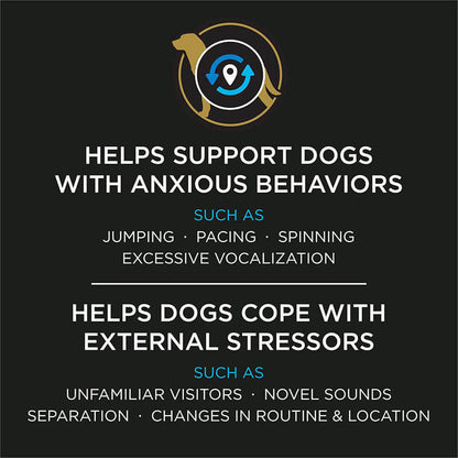 Calming Probiotic Dog Powder – Digestive Health & Relaxation Support