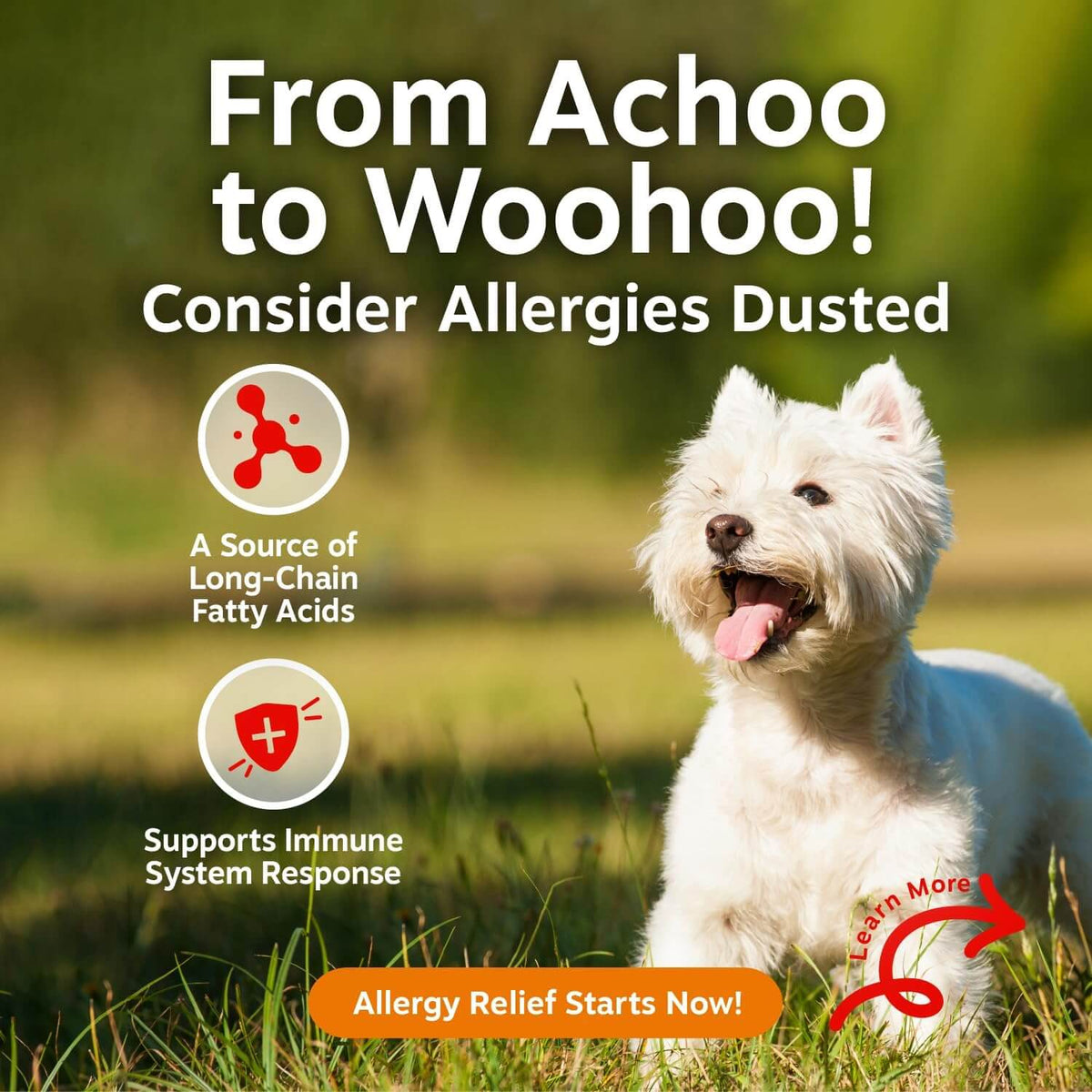Hemp Allergy Chews For Dogs – Skin & Immune Support, Cheese Flavor