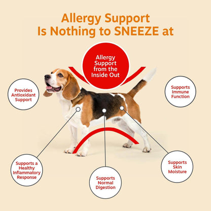 Hemp Allergy Chews For Dogs – Skin & Immune Support, Cheese Flavor