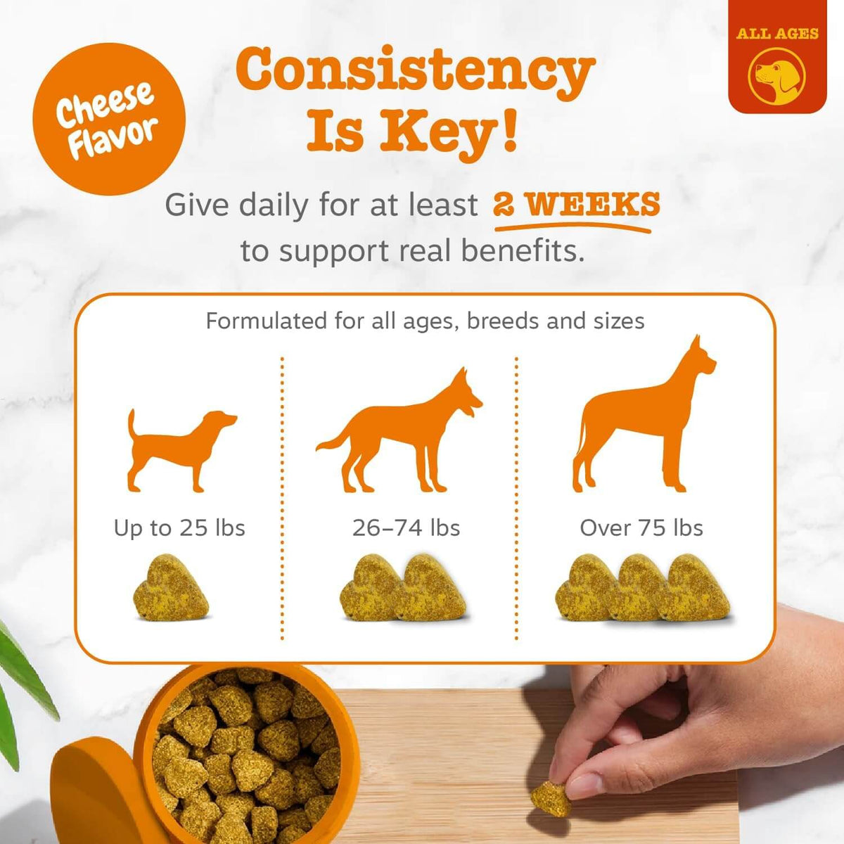 Hemp Allergy Chews For Dogs – Skin & Immune Support, Cheese Flavor
