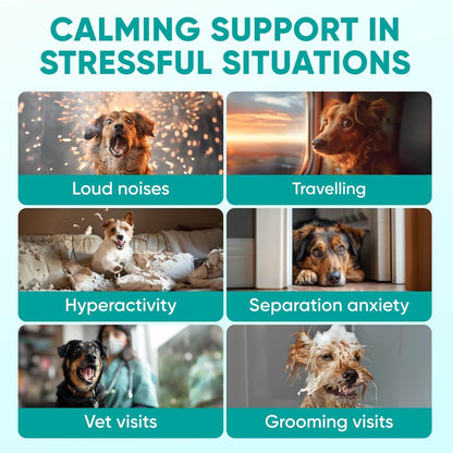 Hemp Calming Chews for Dogs – Calming & Relaxation Support Soft Chews, 120 Count