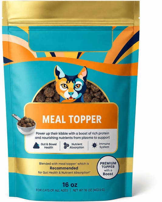 High-Protein Cat Treats & Food Topper – For Indoor Cats & Kittens, 1 lb