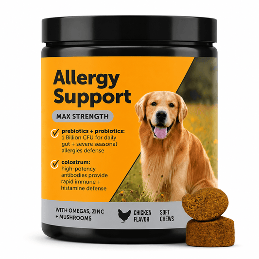Max Strength Dog Allergy Chews – Colostrum, Zinc & Mushrooms, Skin & Immune Support, Chicken Flavor