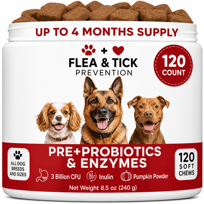 Probiotic Chews For Dogs – Digestive & Gut Health Support With Enzymes