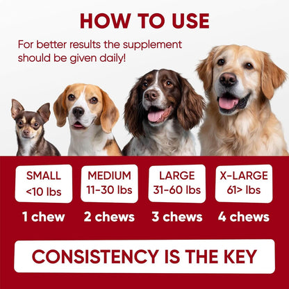 Probiotic Chews For Dogs – Digestive & Gut Health Support With Enzymes