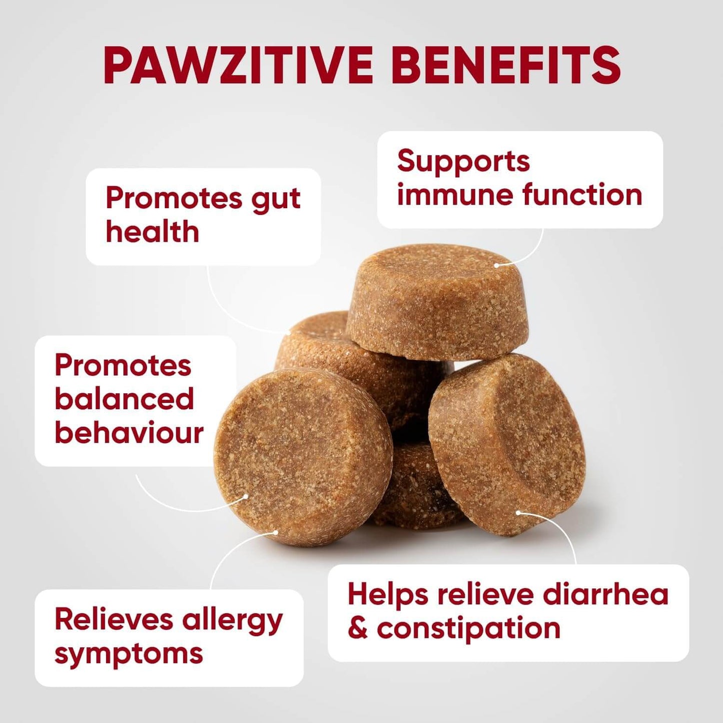 Probiotic Chews For Dogs – Digestive & Gut Health Support With Enzymes