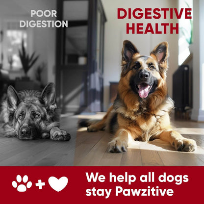 Probiotic Chews For Dogs – Digestive & Gut Health Support With Enzymes