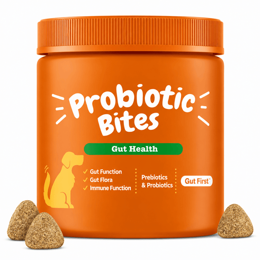 Probiotics For Dogs – Digestive & Gut Health Support, Pumpkin Flavor