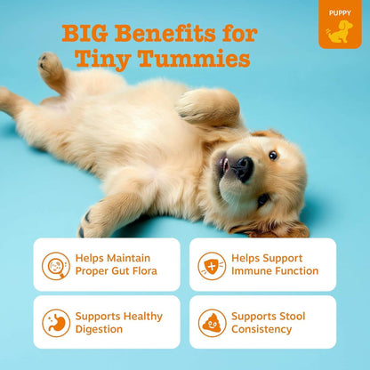 Puppy Probiotic Bites For Dogs – Digestive & Gut Health Support With Pumpkin