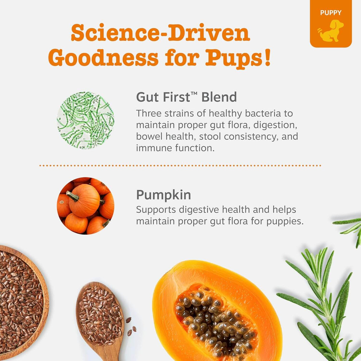Puppy Probiotic Bites For Dogs – Digestive & Gut Health Support With Pumpkin