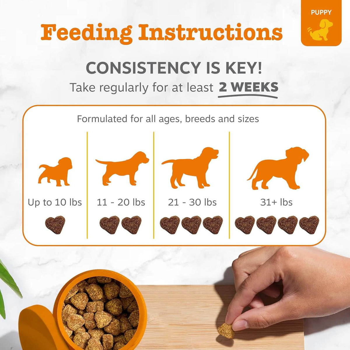 Puppy Probiotic Bites For Dogs – Digestive & Gut Health Support With Pumpkin