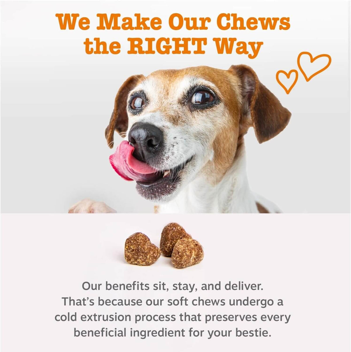 Puppy Probiotic Bites For Dogs – Digestive & Gut Health Support With Pumpkin