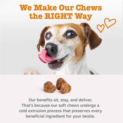 Puppy Probiotic Bites For Dogs – Digestive & Gut Health Support With Pumpkin