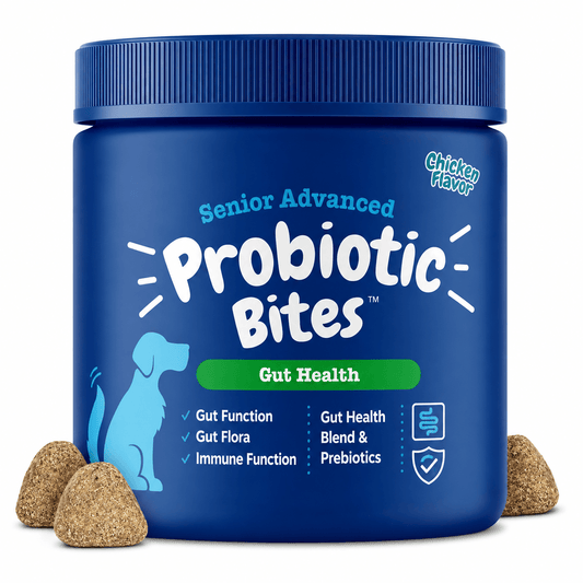 Senior Probiotics For Dogs – Digestive & Gut Health Support, Chicken Flavor