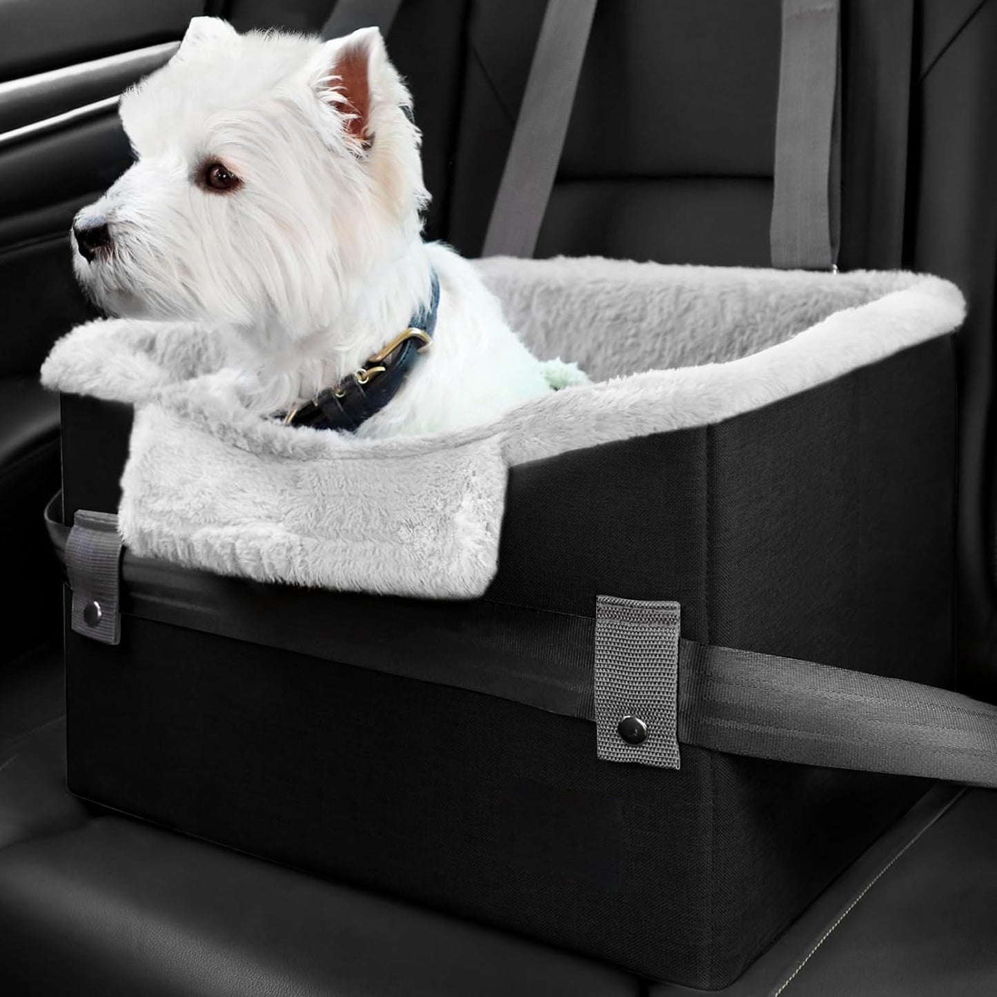 Portable Dog Car Booster Seat For Small Dogs